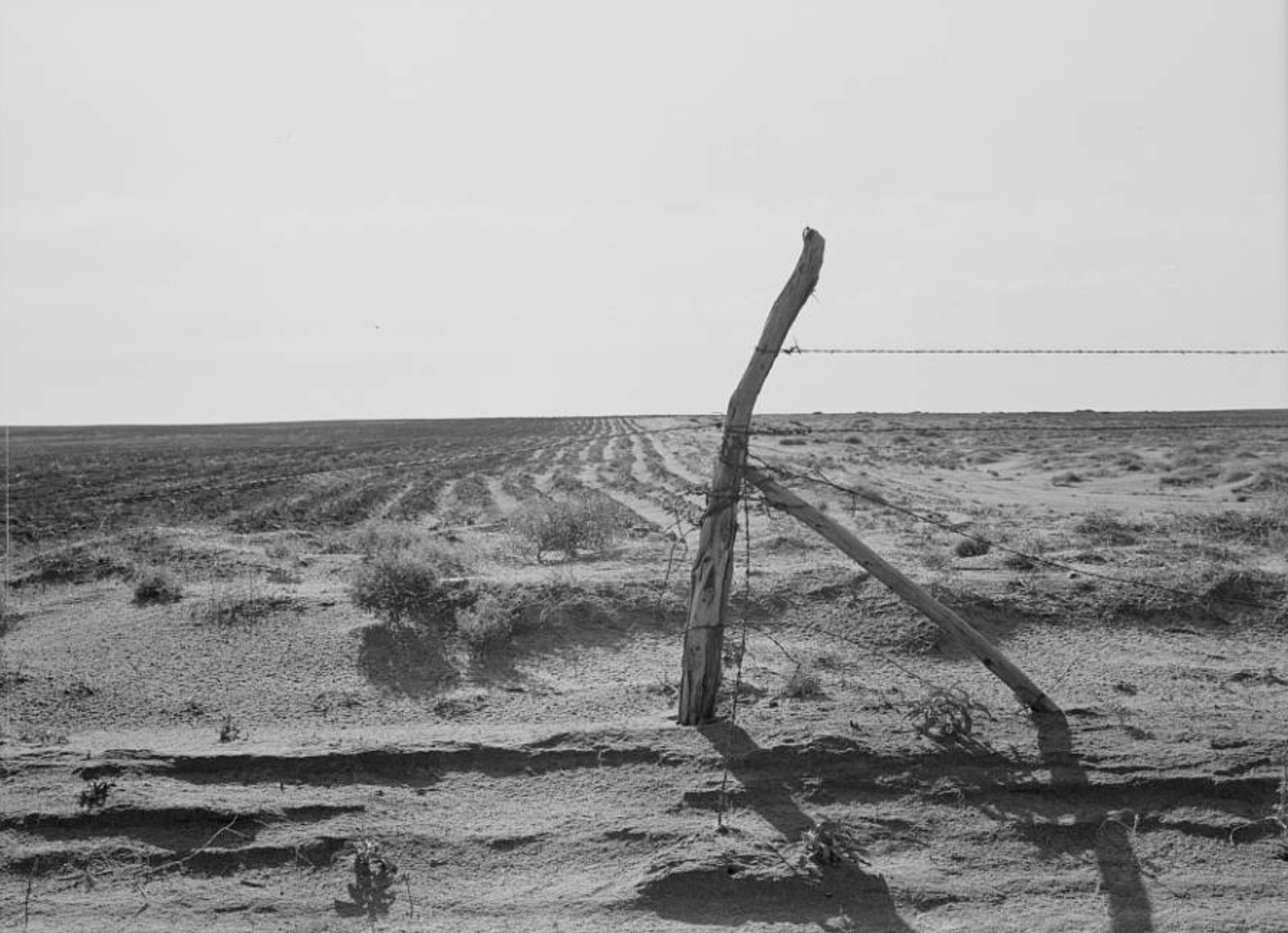 Landscape left barren by the Dust Bowl, north of Dalhart, Texas 
